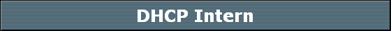 DHCP Intern